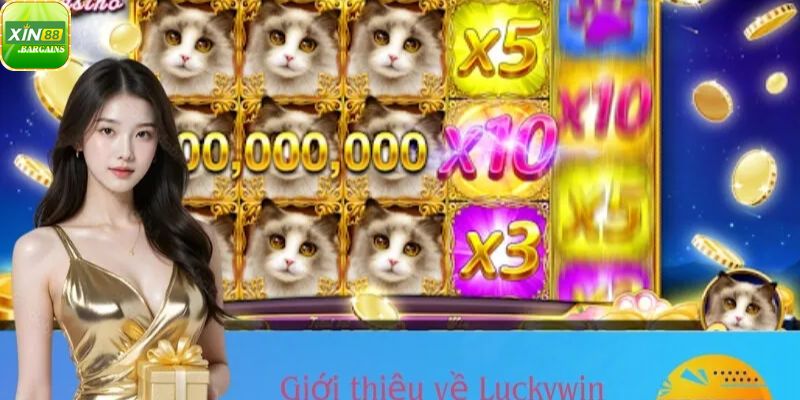 Thông tin luckywin xin88